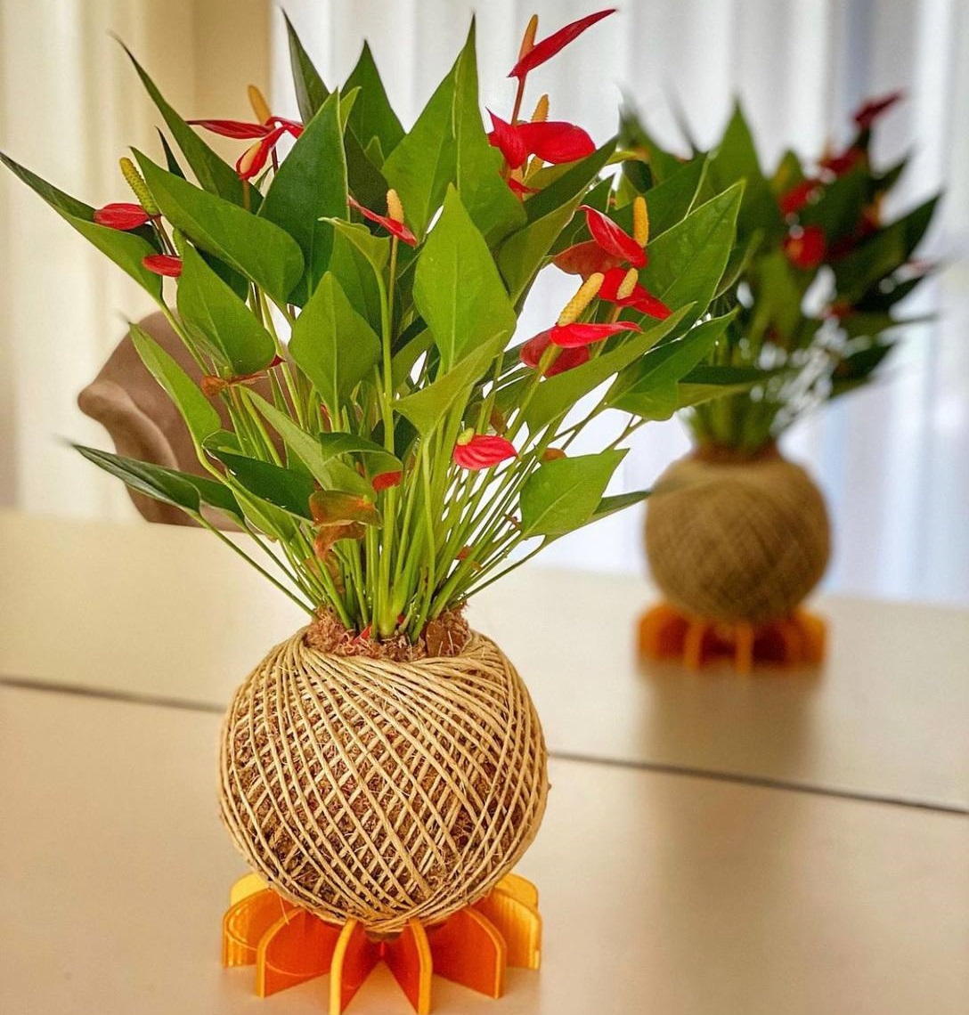 kokedama-imagem